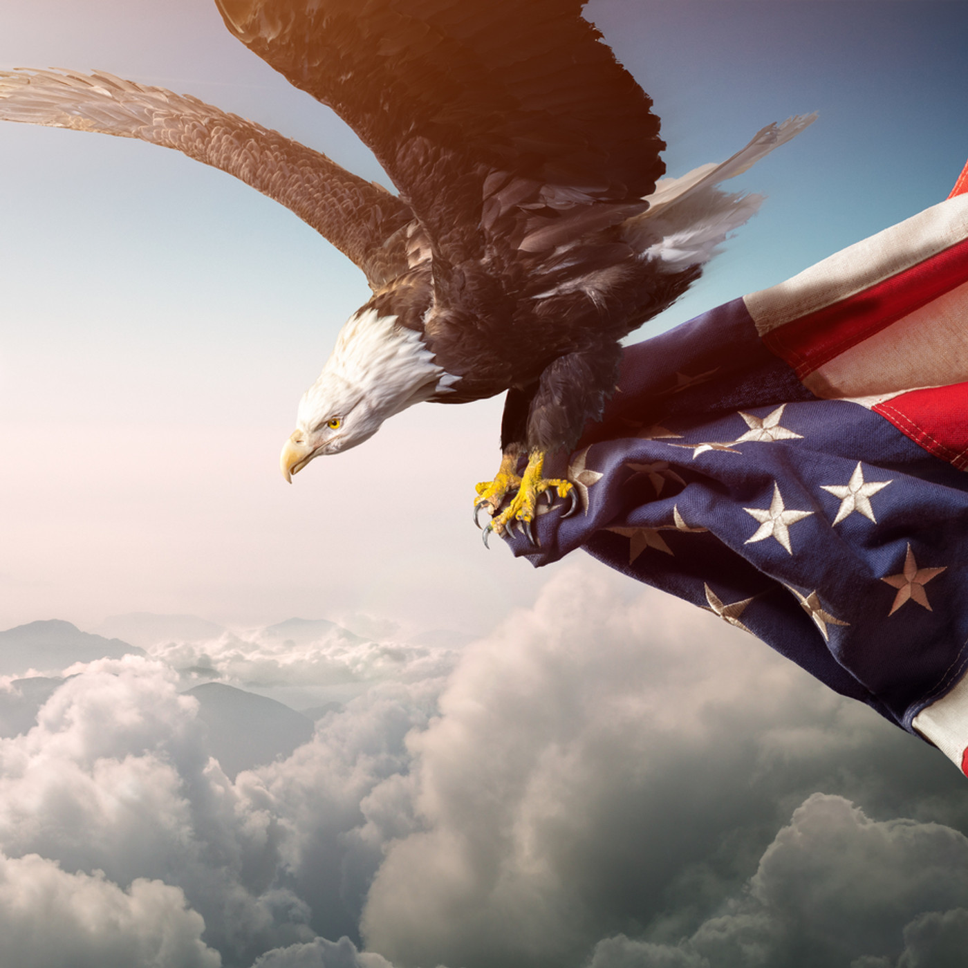 Eagle above clouds with the American flag